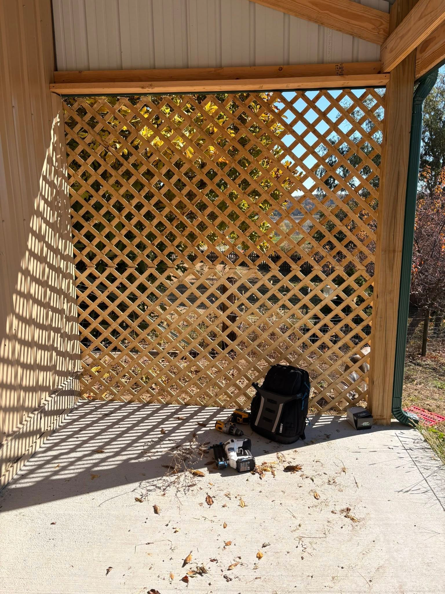 Lattice